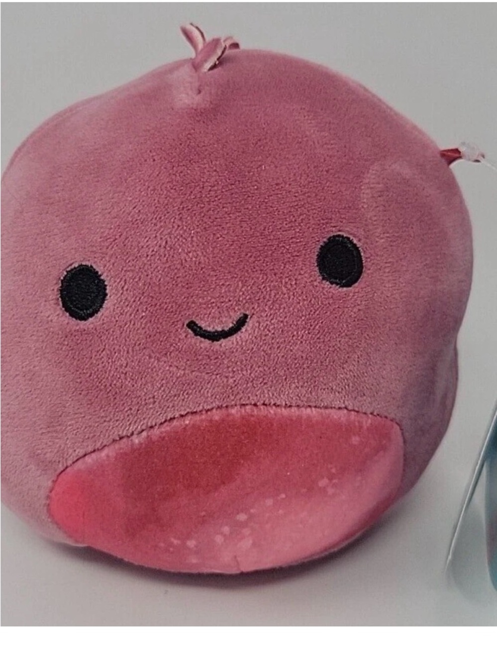 Squishmallows 5 inch Poleena The Dinosaur Jazwares 2022 NEW WITH TAGS